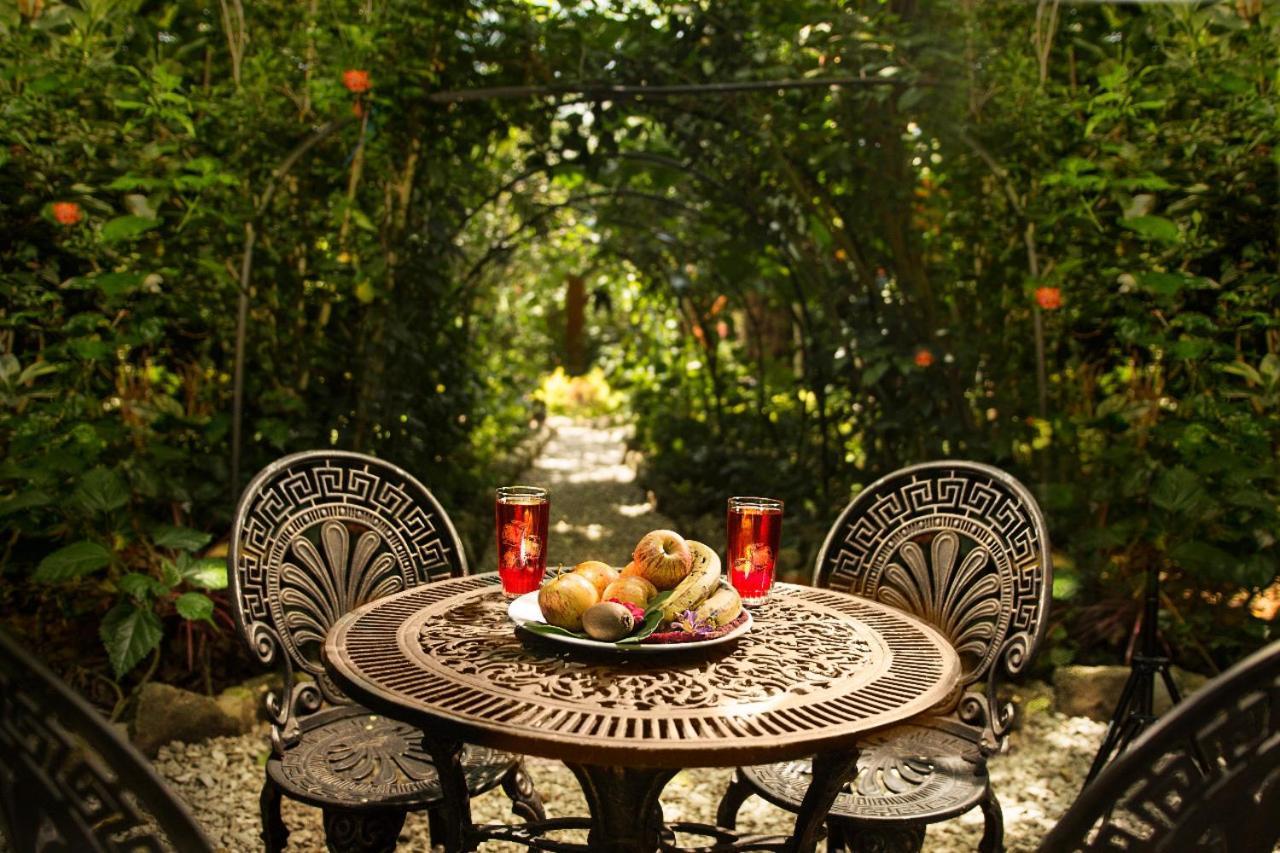 Itchimbia Garden Ayampe Montana Y Mar Villa Kültér fotó